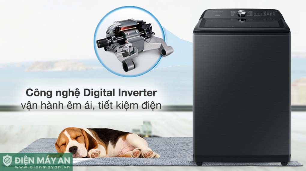 Máy Giặt Samsung Inverter 23 Kg WA23A8377GV/SV